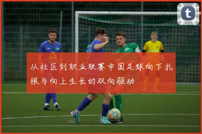从社区到职业联赛中国足球向下扎根与向上生长的双向驱动