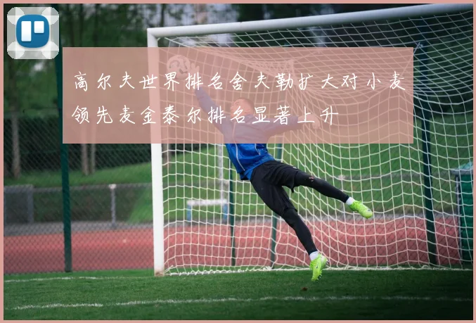 高尔夫世界排名舍夫勒扩大对小麦领先麦金泰尔排名显著上升