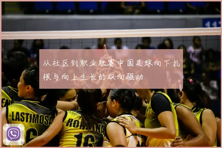 从社区到职业联赛中国足球向下扎根与向上生长的双向驱动